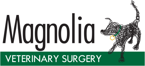 Magnolia Veterinary Surgery