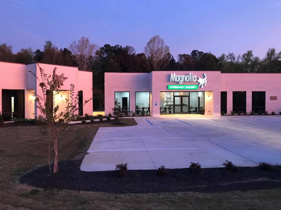 magnolia veterinary