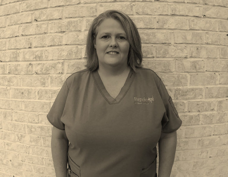 Our Team Magnolia Veterinary Surgery