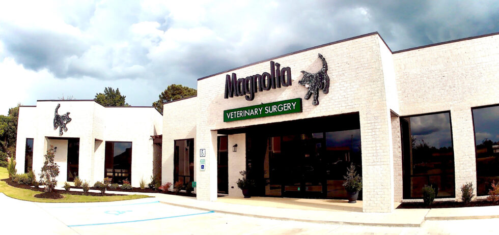 Magnolia Veterinary Surgery | A Veterinary Surgical Hospital